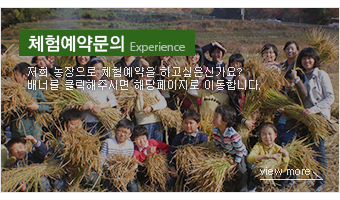 체험예약문의